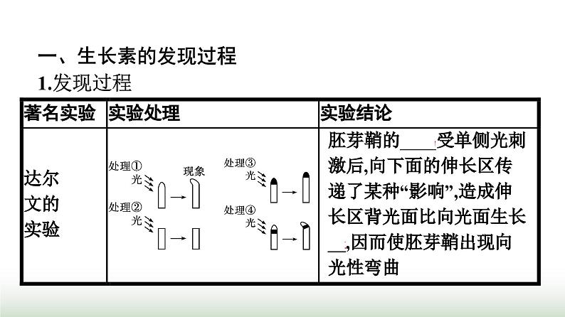 人教版高中生物选择性必修1第5章植物生命活动的调节第1节植物生长素课件第4页