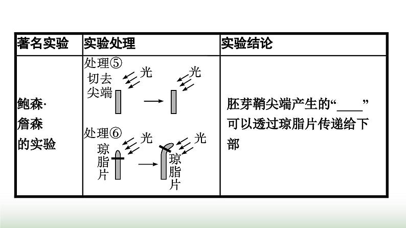 人教版高中生物选择性必修1第5章植物生命活动的调节第1节植物生长素课件第5页