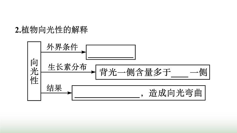 人教版高中生物选择性必修1第5章植物生命活动的调节第1节植物生长素课件第8页