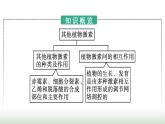 人教版高中生物选择性必修1第5章植物生命活动的调节第2节其他植物激素课件