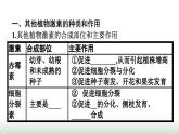 人教版高中生物选择性必修1第5章植物生命活动的调节第2节其他植物激素课件