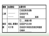 人教版高中生物选择性必修1第5章植物生命活动的调节第2节其他植物激素课件