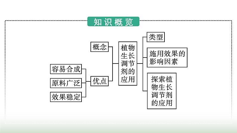 人教版高中生物选择性必修1第5章植物生命活动的调节第3节植物生长调节剂的应用课件03