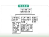 人教版高中生物选择性必修1第5章植物生命活动的调节第4节环境因素参与调节植物的生命活动课件