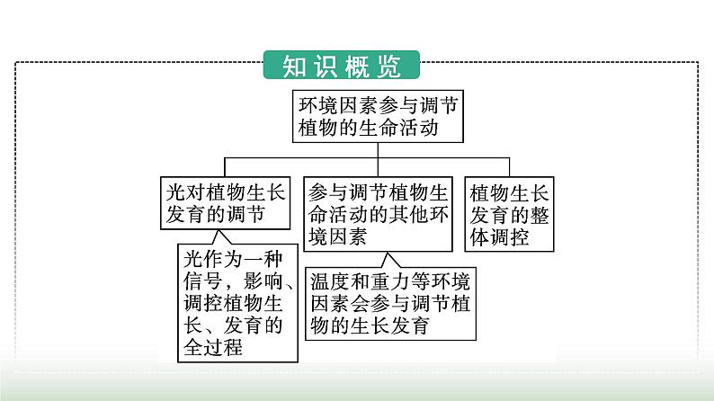 人教版高中生物选择性必修1第5章植物生命活动的调节第4节环境因素参与调节植物的生命活动课件第3页