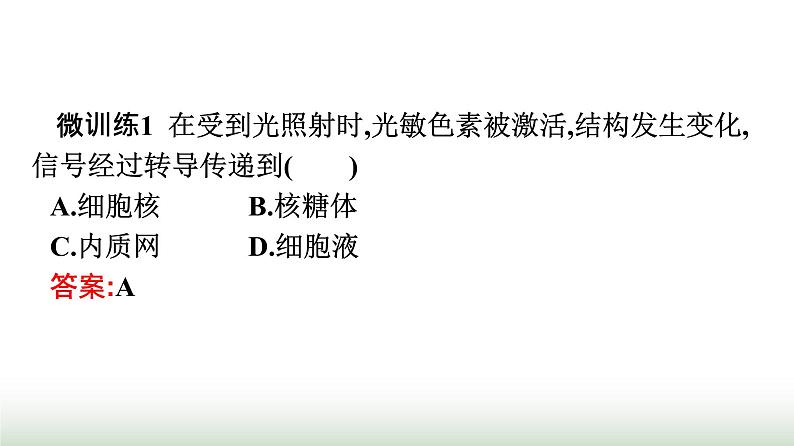 人教版高中生物选择性必修1第5章植物生命活动的调节第4节环境因素参与调节植物的生命活动课件第6页