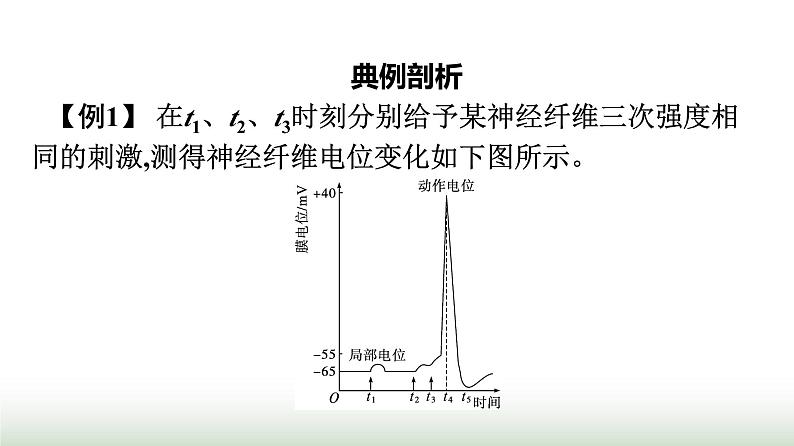 人教版高中生物选择性必修1微专题一膜电位变化曲线图及神经调节相关的实验探究课件05