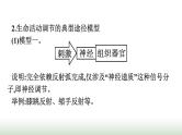 人教版高中生物选择性必修1微专题二动物生命活动调节模型的建构与分析课件