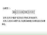 人教版高中生物选择性必修1微专题二动物生命活动调节模型的建构与分析课件