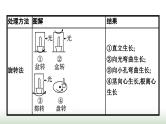 人教版高中生物选择性必修1微专题三植物生命活动调节的实验探究课件
