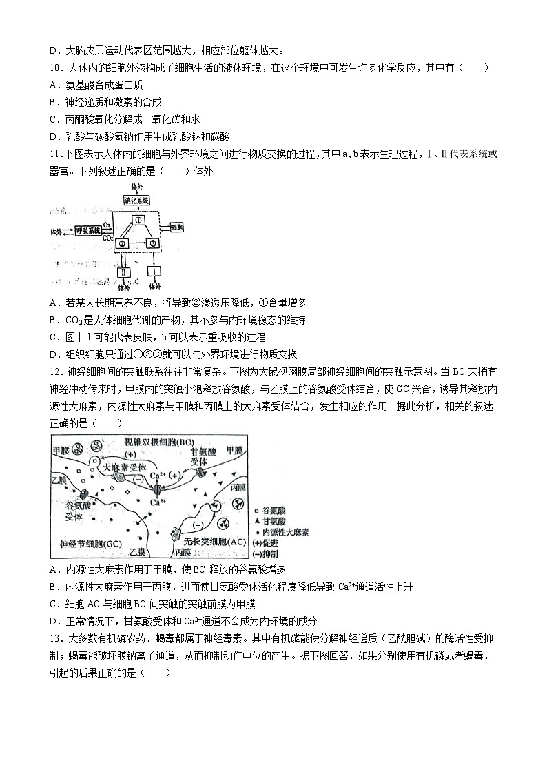 江苏省泰州市兴化市2024-2025学年高二上学期9月月考生物试题(无答案)03