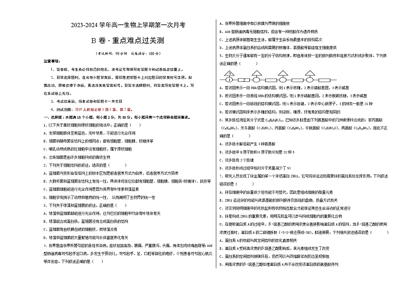 第一次月考B卷（人教版2019）2023-2024学年高一生物上学期第一次月考01