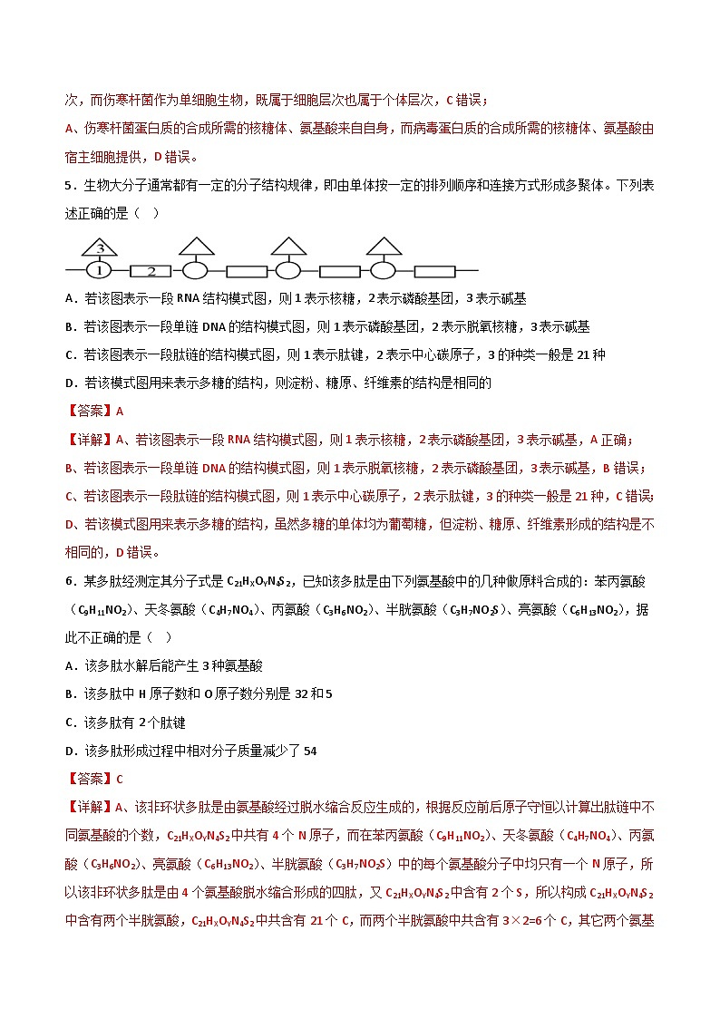 第一次月考B卷（人教版2019）2023-2024学年高一生物上学期第一次月考03