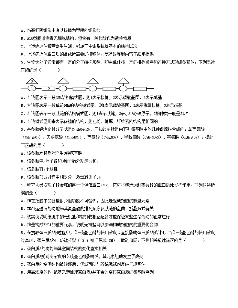 第一次月考B卷（人教版2019）2023-2024学年高一生物上学期第一次月考02
