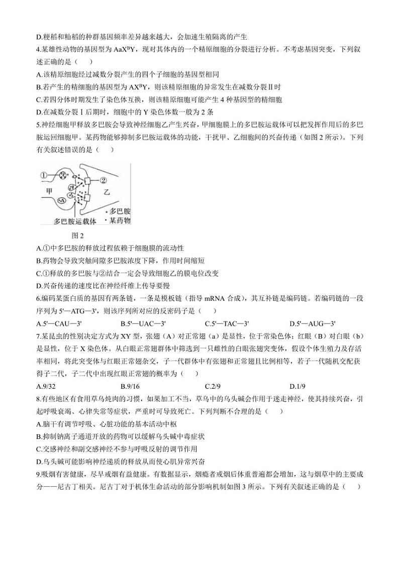 [生物]云南省昭通市市直中学2024～2025学年高二上学期第一次月考试题(有答案)02
