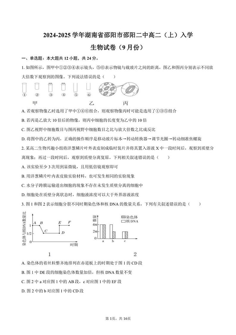 [生物]2024～2025学年湖南省邵阳市邵阳二中高二(上)入学试卷(9月份)(有解析)01