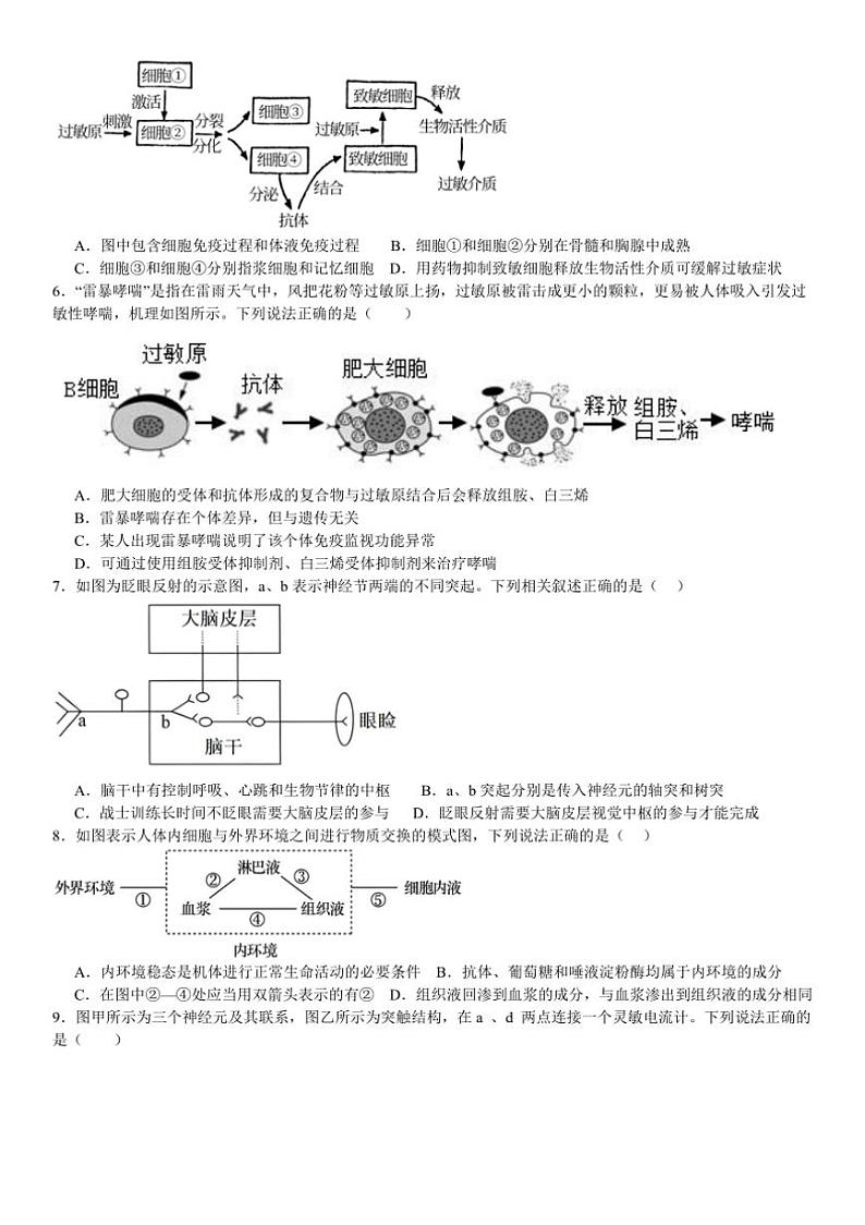 [生物]河南省南阳市第一中学校2024～2025学年高二上学期9月月考试题(有答案)第2页