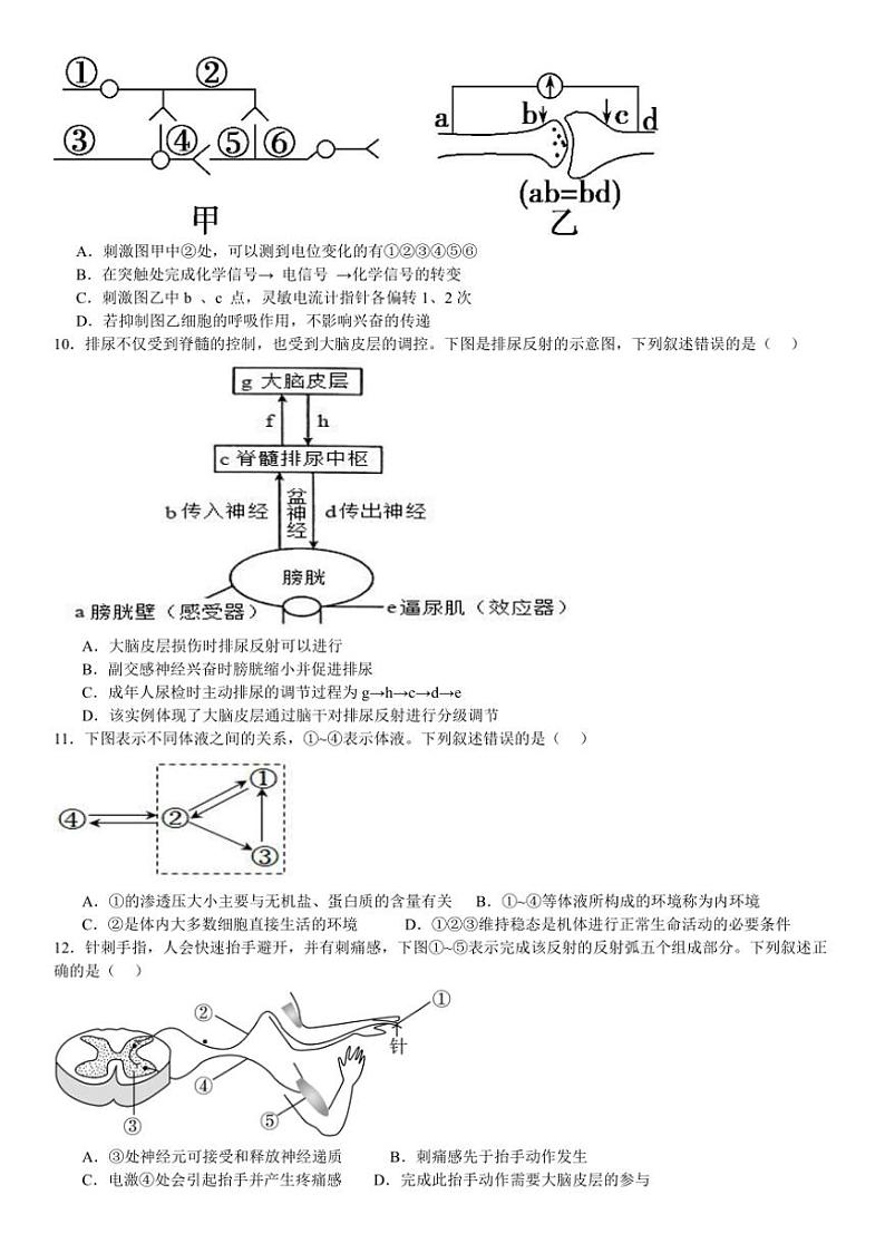 [生物]河南省南阳市第一中学校2024～2025学年高二上学期9月月考试题(有答案)第3页