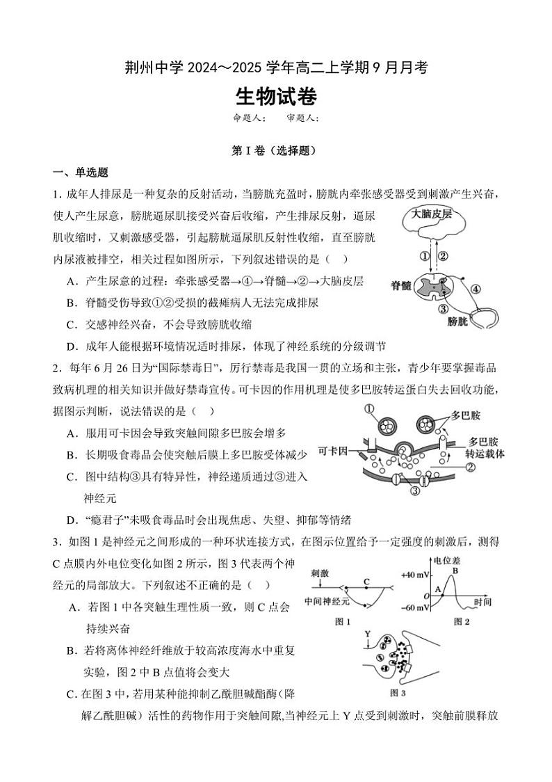 [生物]湖北省荆州中学2024～2025学年高二上学期9月月考试题(有答案)01
