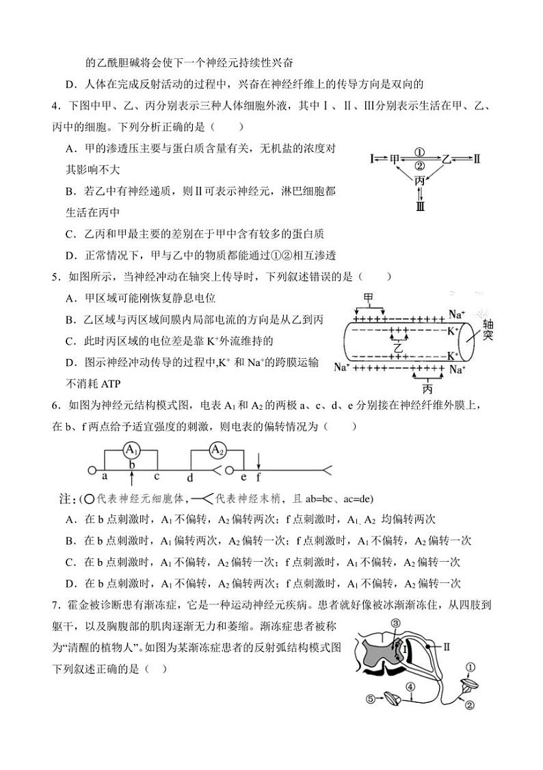 [生物]湖北省荆州中学2024～2025学年高二上学期9月月考试题(有答案)02