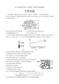 [生物]山东省济宁市实验高中2024～2025学年高二上学期9月月考试题(有答案)