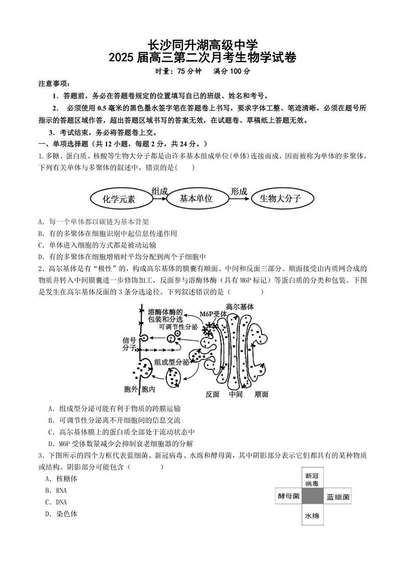 [生物]湖南省长沙市同升湖实验学校2024～2025学年高三上学期第二次月考试题(有答案)第1页