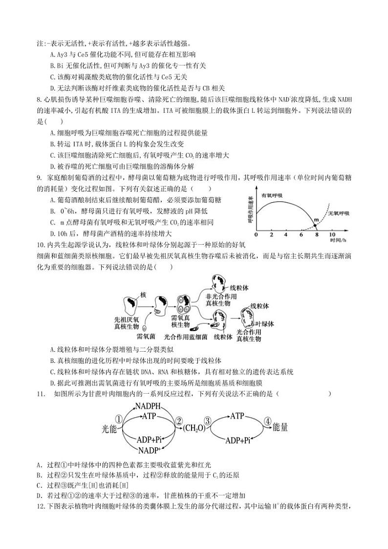 [生物]湖南省长沙市同升湖实验学校2024～2025学年高三上学期第二次月考试题(有答案)第3页