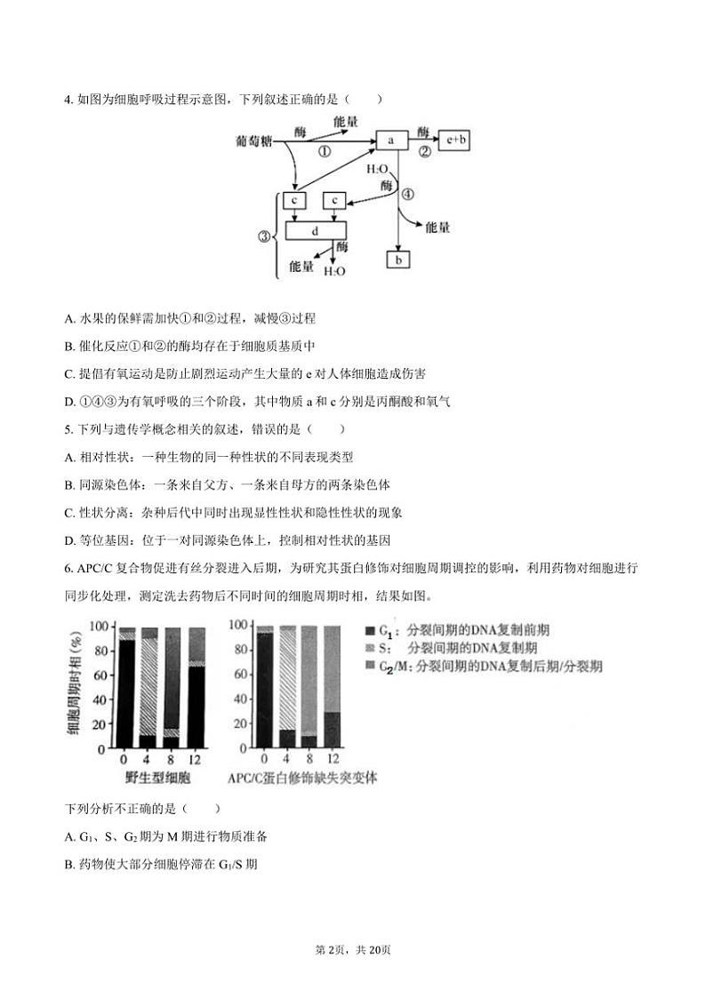 [生物]2024～2025学年湖南省岳阳市岳阳一中高二(上)开学试卷(有解析)第2页