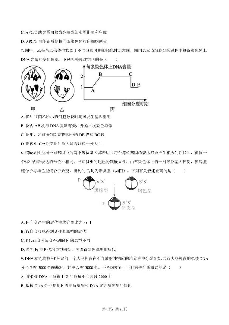 [生物]2024～2025学年湖南省岳阳市岳阳一中高二(上)开学试卷(有解析)第3页