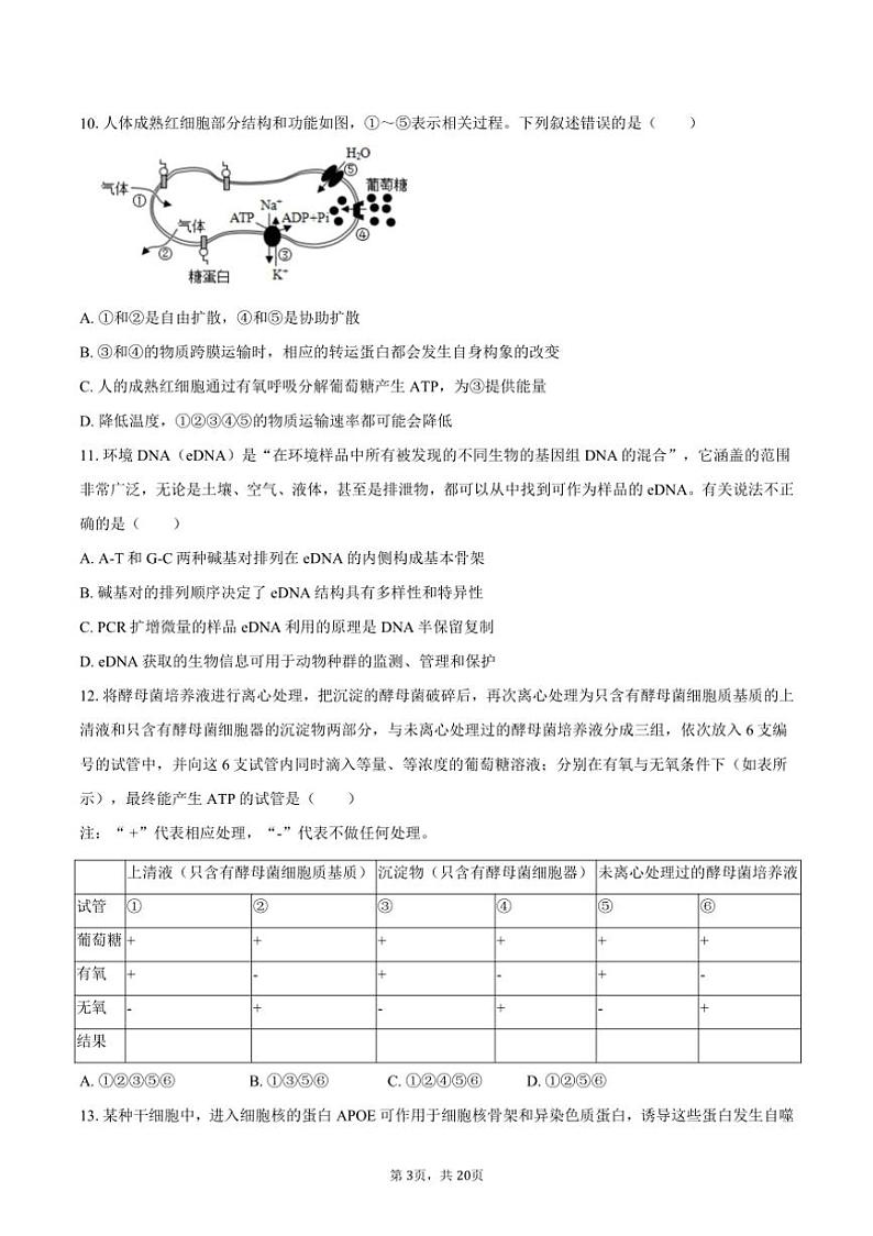 [生物]2024～2025学年湖南省岳阳市汨罗一中高三(上)月考试卷(9月份)(有解析)第3页