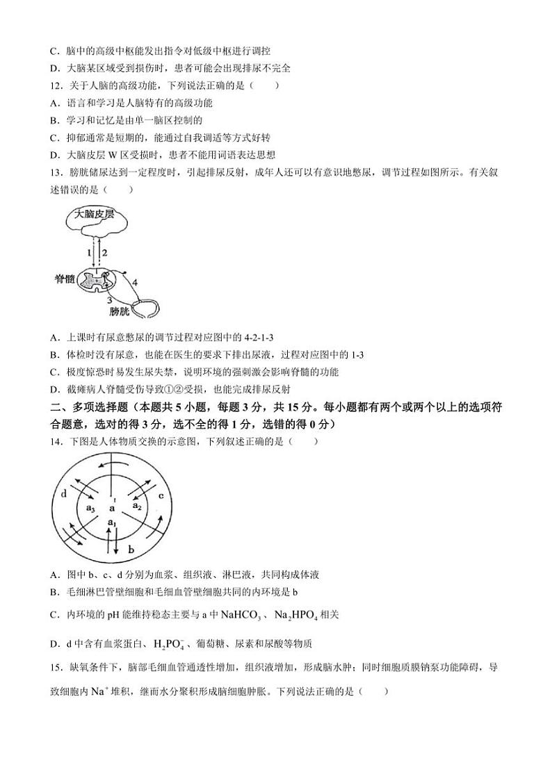 [生物]河北省邢台市信都区邢台市第一中学2024～2025学年高二上学期9月月考试题(有答案)第3页