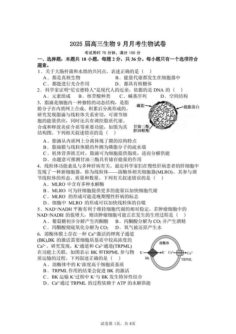 生物丨湖北省宜城市第一中学2025届高三9月月考生物试卷及答案第1页