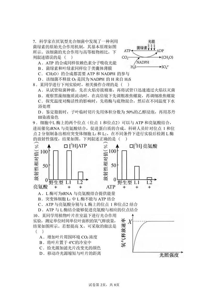 生物丨湖北省宜城市第一中学2025届高三9月月考生物试卷及答案第2页