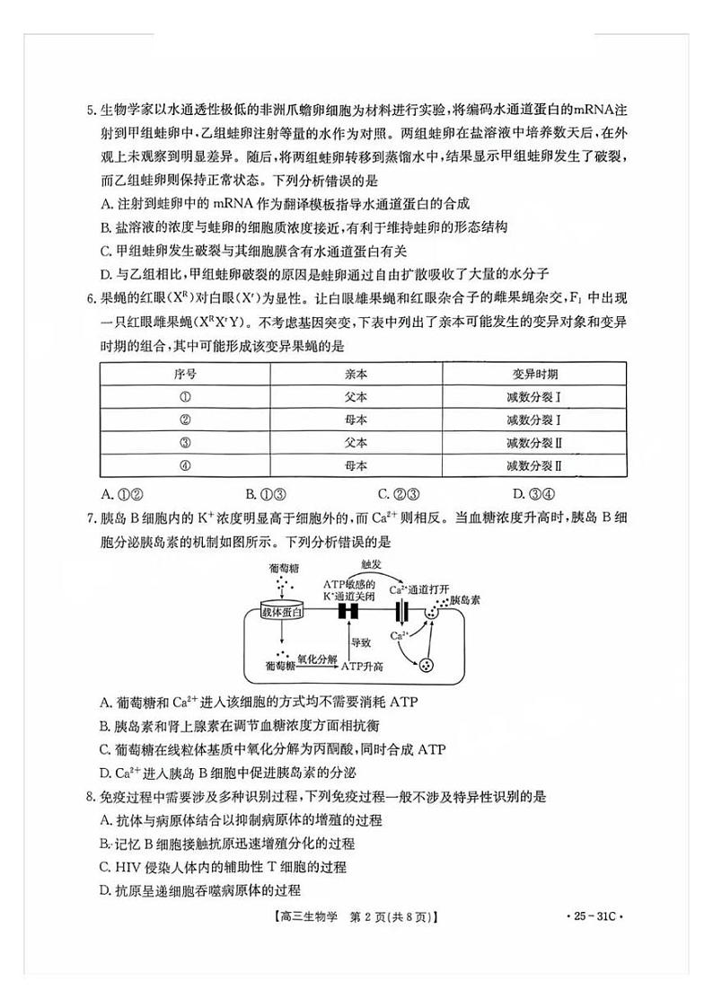 生物丨金太阳广东省2025届高三9月联考生物试卷及答案02