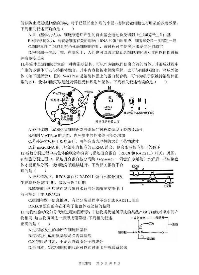 生物丨四川省遂宁市射洪中学高2022级（2025届）高三9月一模考试生物试卷及答案第3页