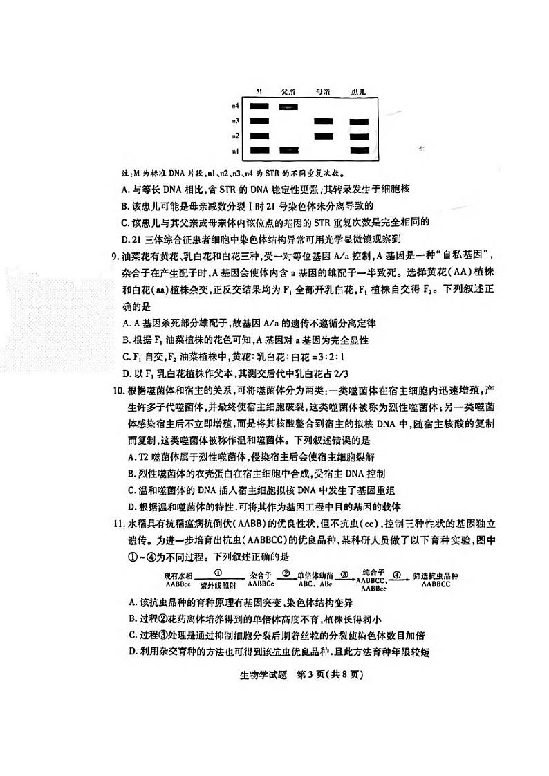 生物丨天一大联考湖南省2025届高三9月大联考暨9月月考生物试卷及答案第3页