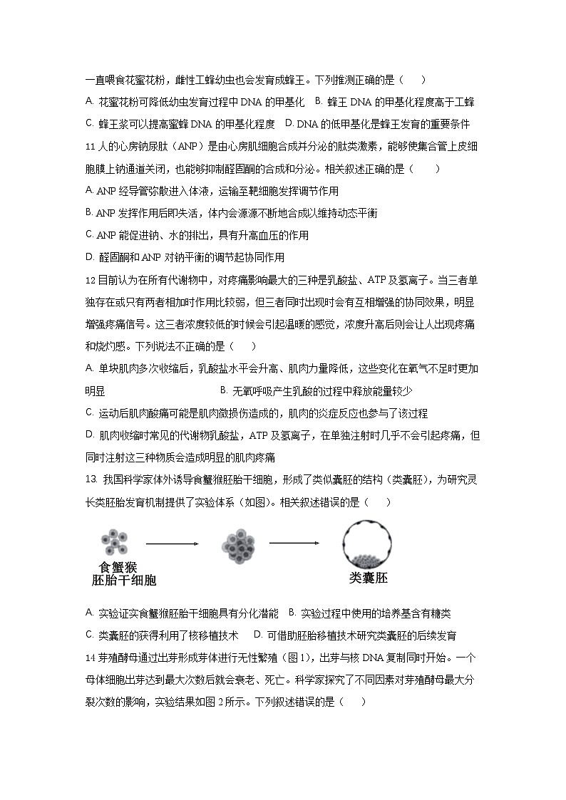 2024-2025学年第一学期高三年级生物9月月考试卷第3页