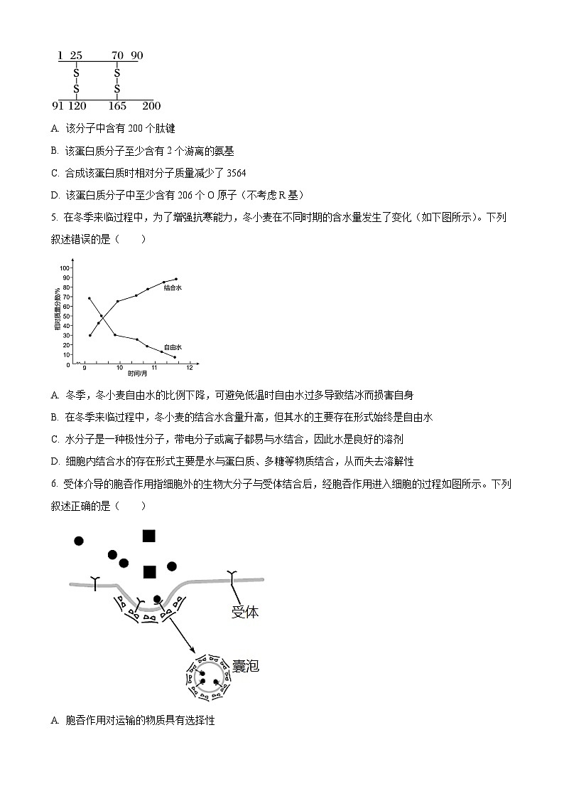 2025届银川一中高三上学期第二次月考生物试卷02