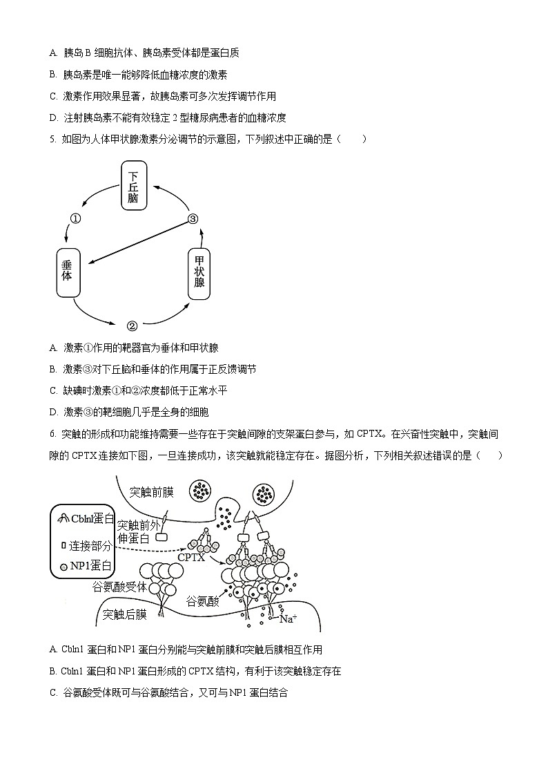 山西省晋中市平遥县部分高中学校2024-2025学年高二上学期9月月考生物试题  Word版无答案第2页