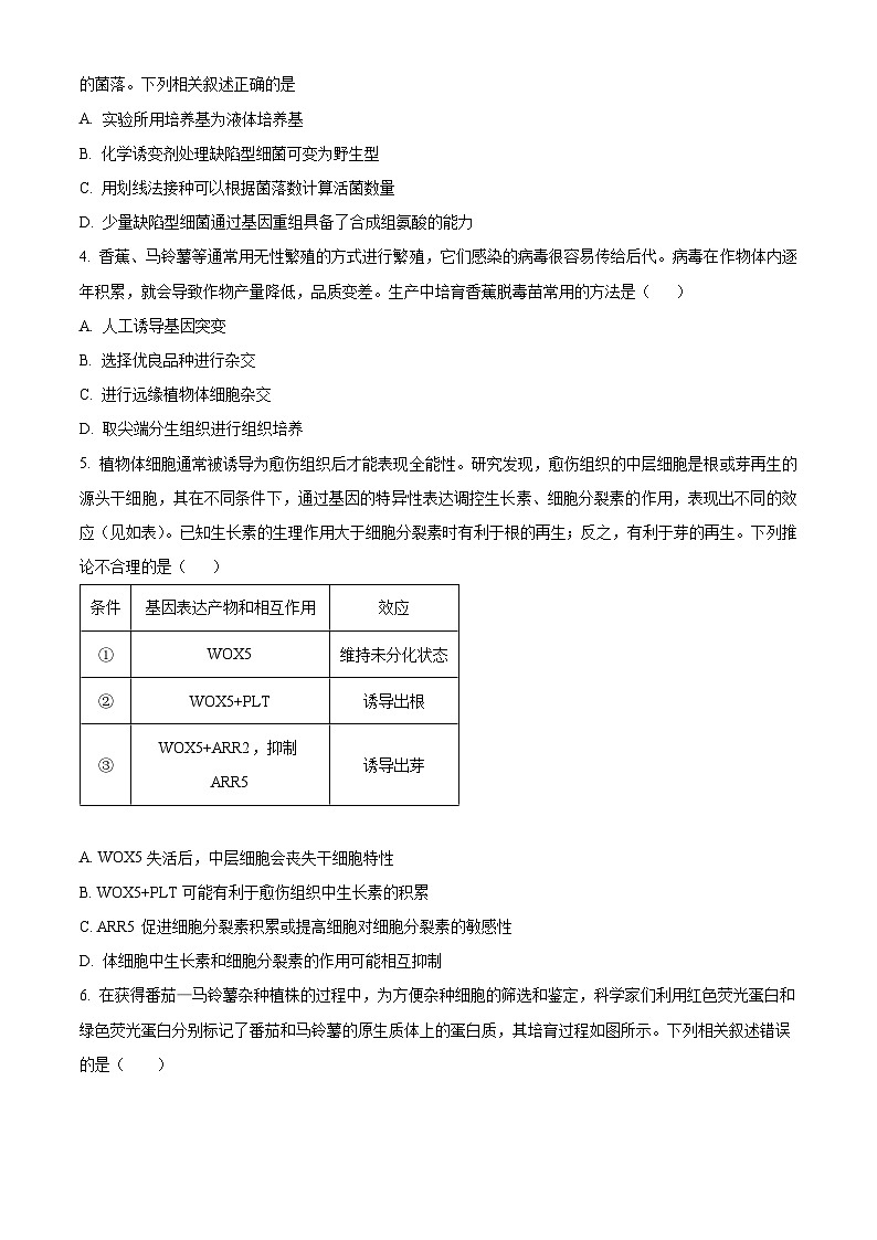 山东省临沂市河东区2023-2024学年高二下学期期中考试生物试题（Word版附解析）02