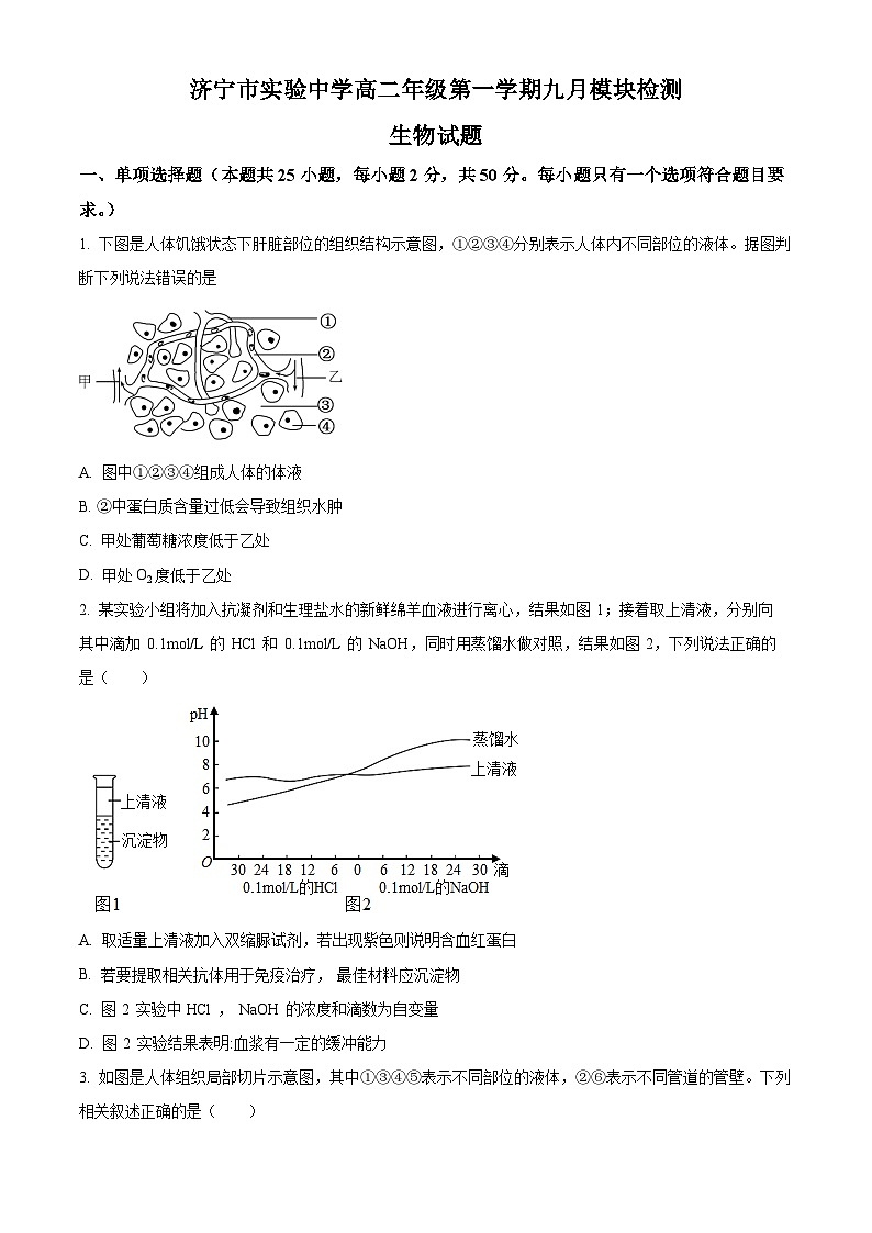 山东省济宁市实验高中2024-2025学年高二上学期9月月考生物试题  Word版无答案第1页
