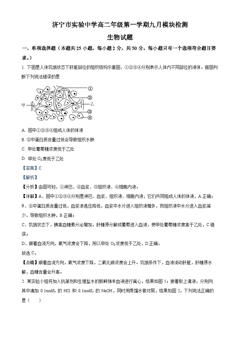 山东省济宁市实验高中2024-2025学年高二上学期9月月考生物试题  Word版含解析第1页