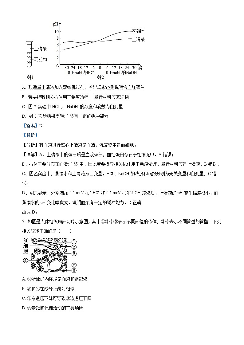山东省济宁市实验高中2024-2025学年高二上学期9月月考生物试题  Word版含解析第2页