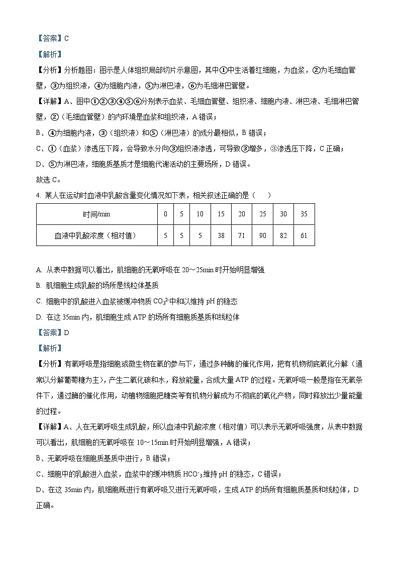 山东省济宁市实验高中2024-2025学年高二上学期9月月考生物试题  Word版含解析第3页