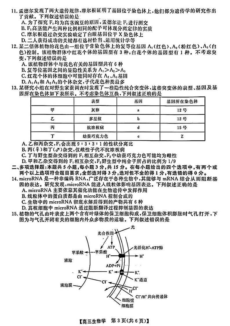 金科大联考·2025届高三上学期9月质量检测 生物第3页