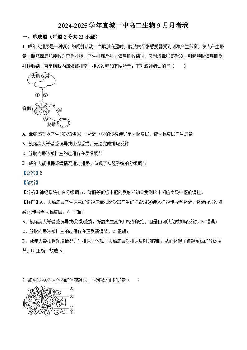 湖北省宜城市第一中学2024-2025学年高二上学期9月月考生物试题（Word版附解析）01