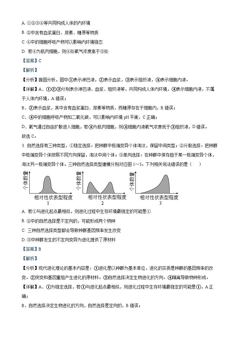 湖北省宜城市第一中学2024-2025学年高二上学期9月月考生物试题（Word版附解析）02