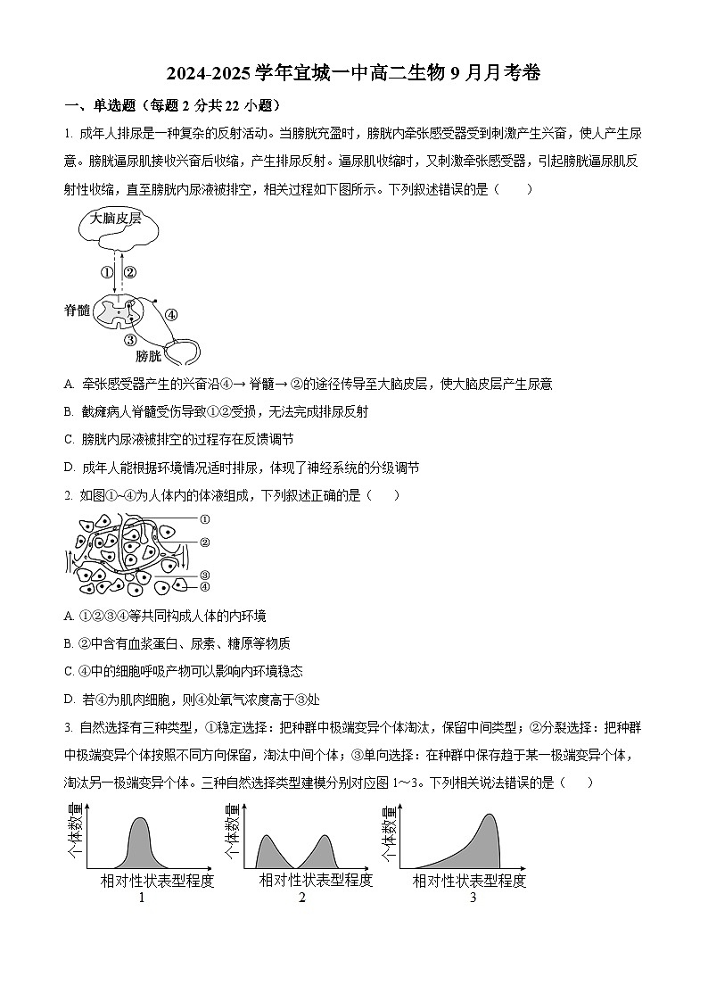 湖北省宜城市第一中学2024-2025学年高二上学期9月月考生物试题（Word版附解析）01