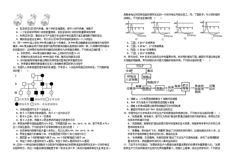 湖北省襄阳市第五中学2024-2025学年高三上学期9月月考生物试题（Word版附答案）第2页