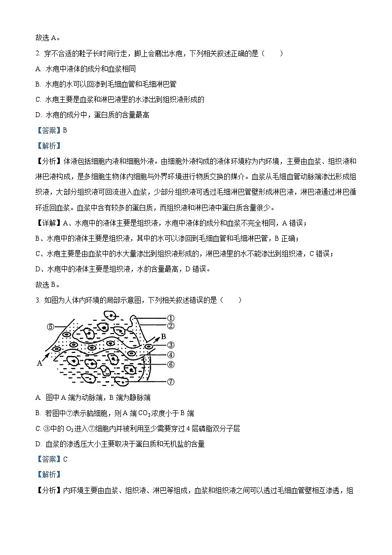 河北省沧州市2024-2025学年高二上学期9月月考生物试题（Word版附解析）02